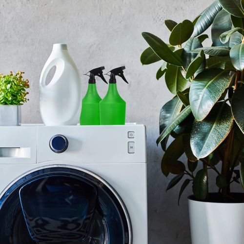 Vaporisateurs Pour Plantes En Lot De 2