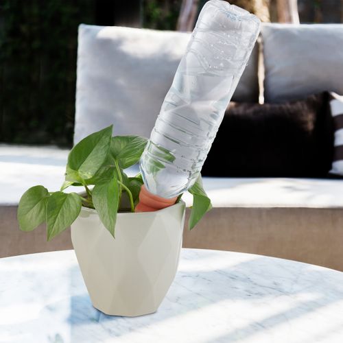 Cônes D’arrosage En Terre Cuite Lot De 6