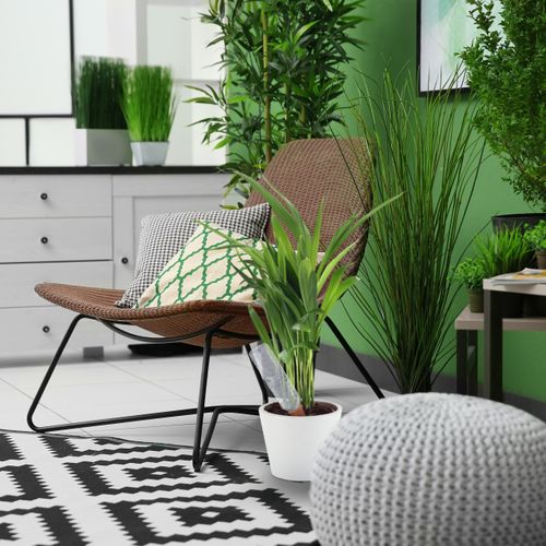 Cônes D’arrosage En Terre Cuite Lot De 6