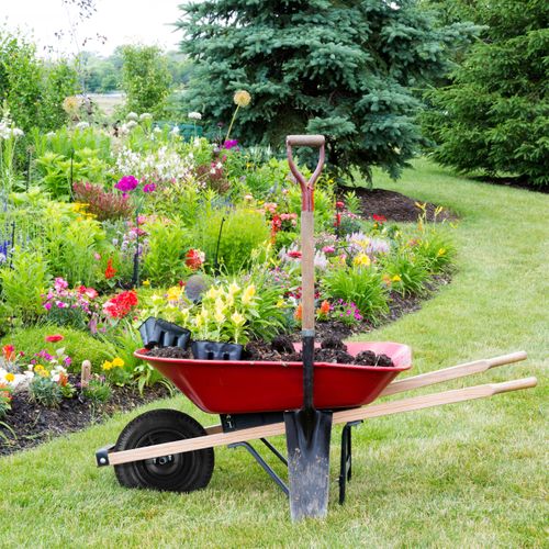 Roue De Brouette 3.50-8 Avec Axe