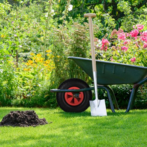 Roue De Brouette 4.00-6 Noir Et Rouge