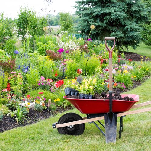 Roue De Brouette 3.00-8