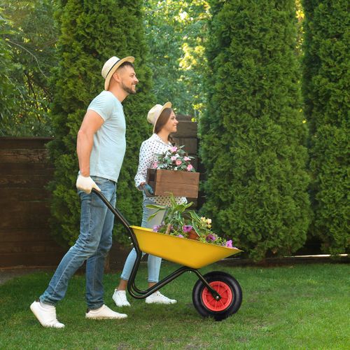 Roue De Brouette 4.80/4.00-8 Pneumatique