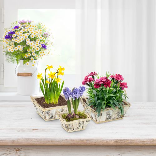 Lot De 3 Pots De Fleurs Carrés