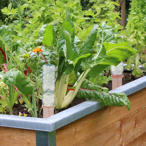 Arrosage En Terre Cuite En Lot De 4