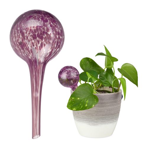 Globes D'arrosage En Verre En Lot De 20