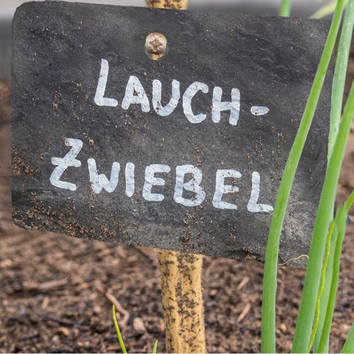 Lot De 10 Écriteaux En Ardoise