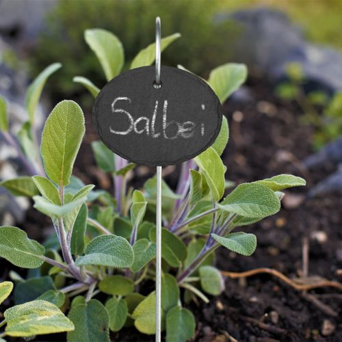 12 Ardoises Pour Plantes