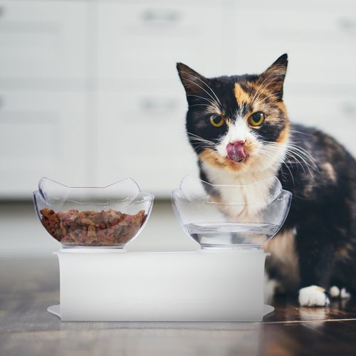 Support Surélevé Double Gamelle 500 Ml