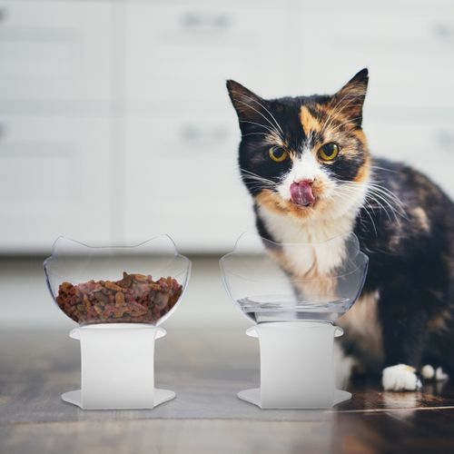 Lot De 2 Supports Surélevés Gamelles