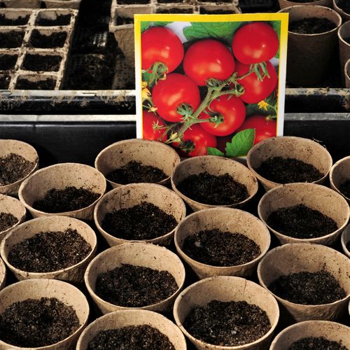 Godets Semis Biodégradables Lot De 240