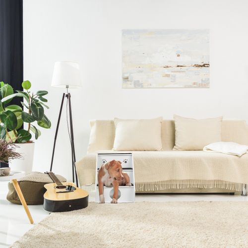 Escalier Pour Chiens 3 Marches