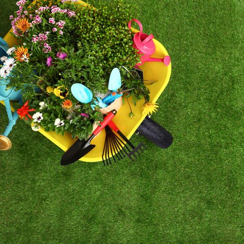 Roue De Diable En Lot De 2