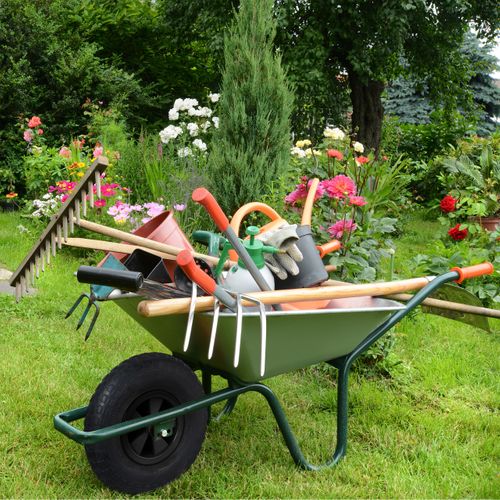 Roue De Brouette 3.50-6 Avec Profil