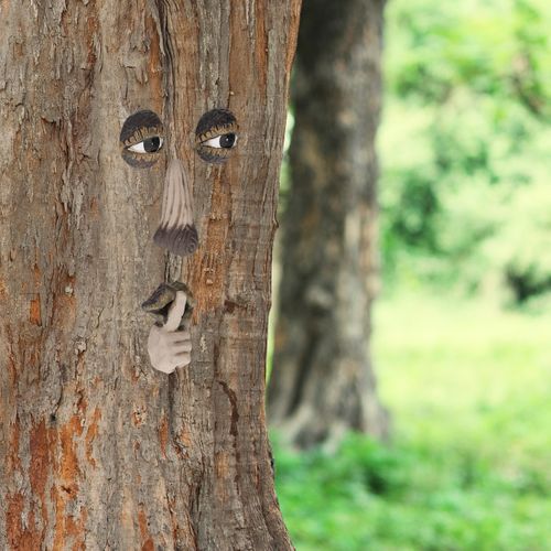 Lot De 2 Visages D’arbre « chut »