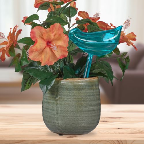 Lot De 24 Arrosoirs Automatiques Oiseaux