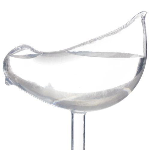 Lot De 12 Arrosoirs Automatiques Oiseaux