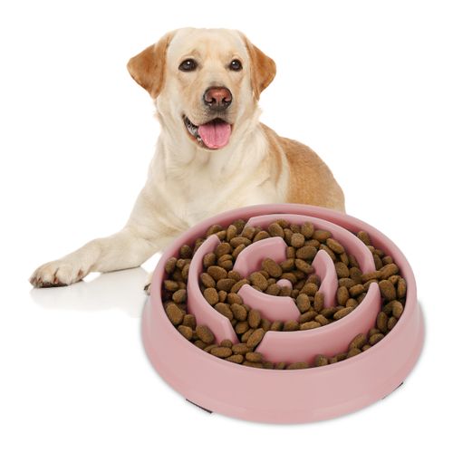 Lot De 2 Gamelles Anti-glouton 400 Ml