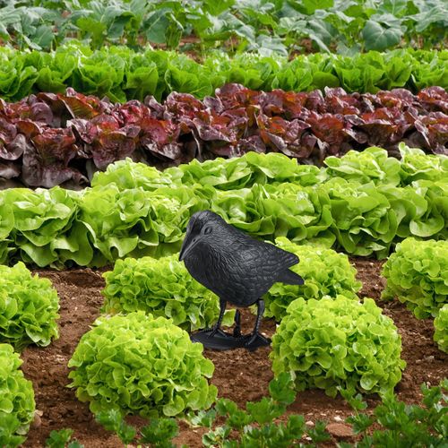 Corbeau Anti-pigeon En Lot De 4