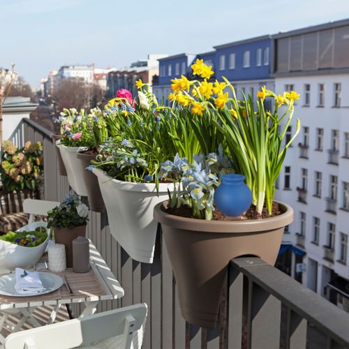 Arrosage En Terre Cuite En Lot De 10