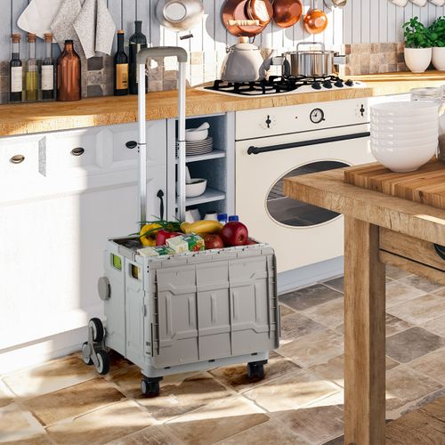 Chariot De Courses Monte Escalier