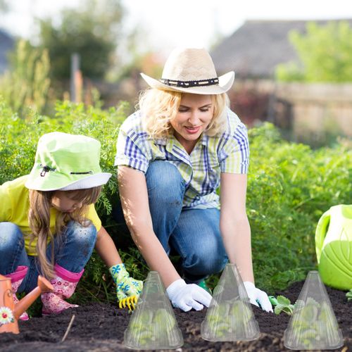 Cloches à Salade Grises Lot De 10
