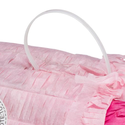 Ensemble Pinata Cochon Avec Bâton