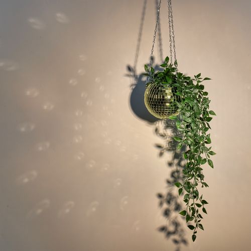 Pot De Fleur Disco Doré