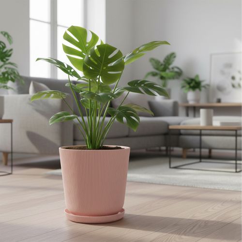 Lot De Deux Pots Avec Soucoupes