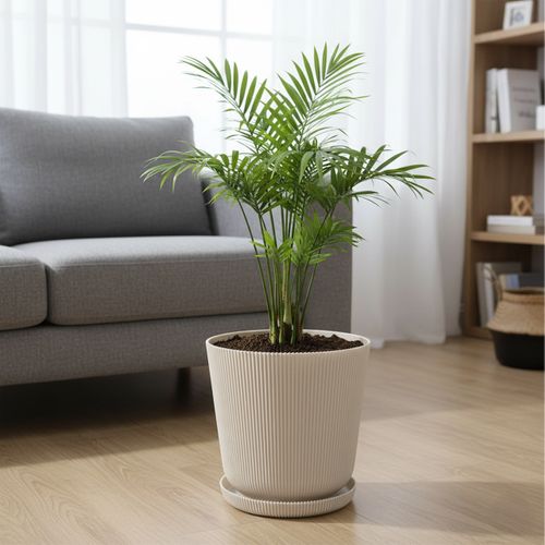 Lot De Deux Pots Avec Soucoupes