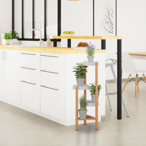 Étagère à Plantes