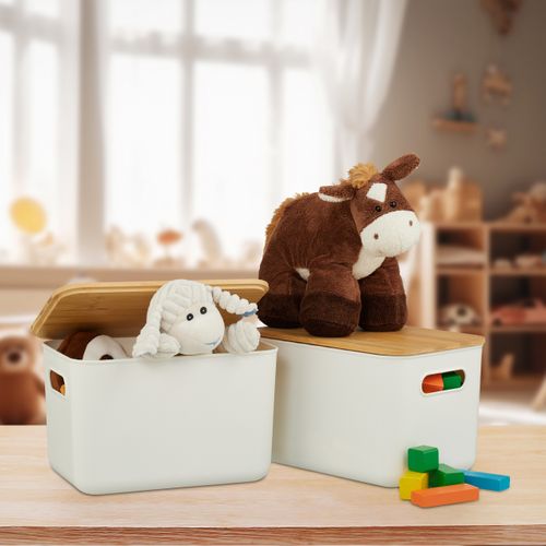 Lot De 2 Bacs De Rangement