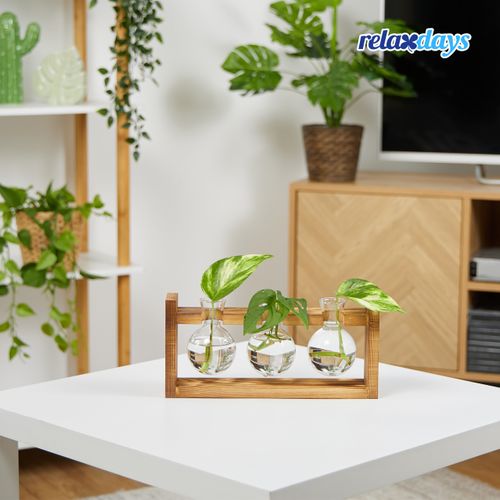 Lot De 3 Vases Décoratifs Avec Support