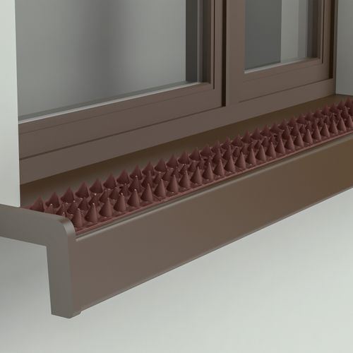 Pics Anti-pigeons En Plastique