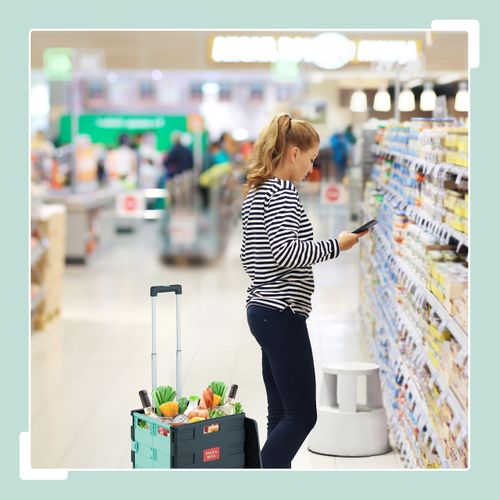 Chariot De Courses Pliable