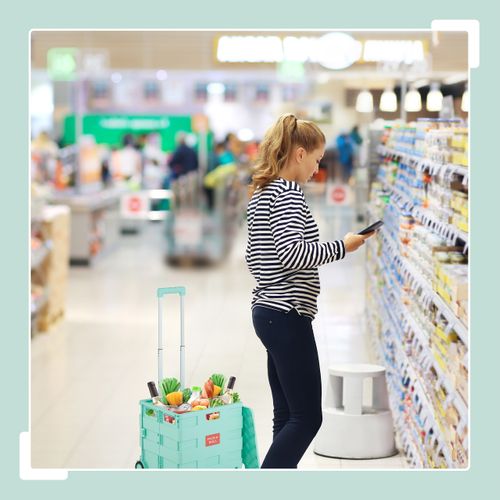 Chariot De Courses Pliable