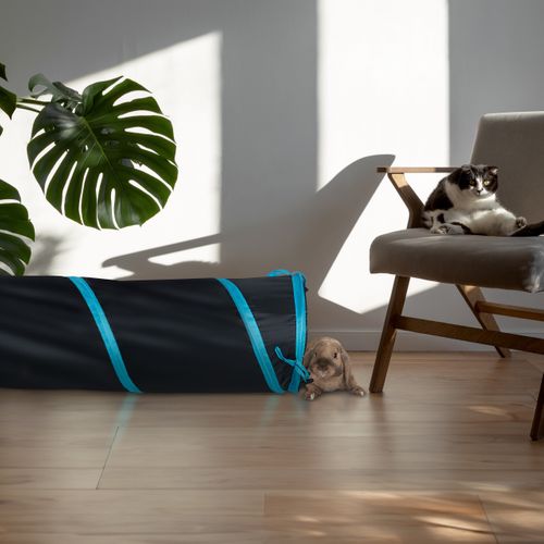 Tunnel Pour Chat Avec Pompon