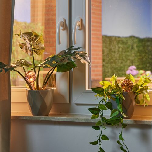 4x Bulles D’arrosage Pour Vos Plantes