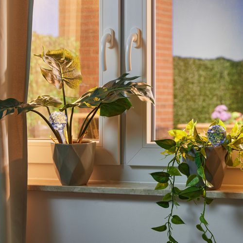 4x Bulles D’arrosage Pour Vos Plantes