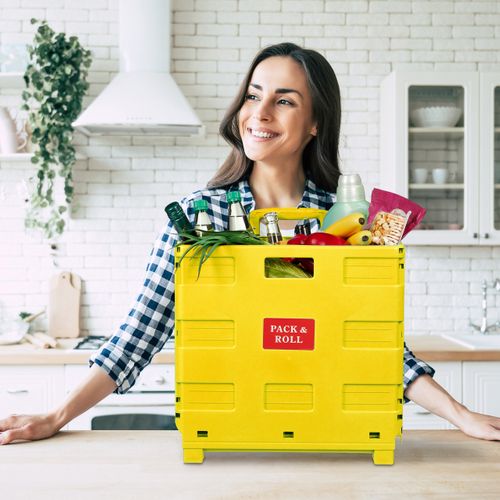 Chariot De Courses Pliable