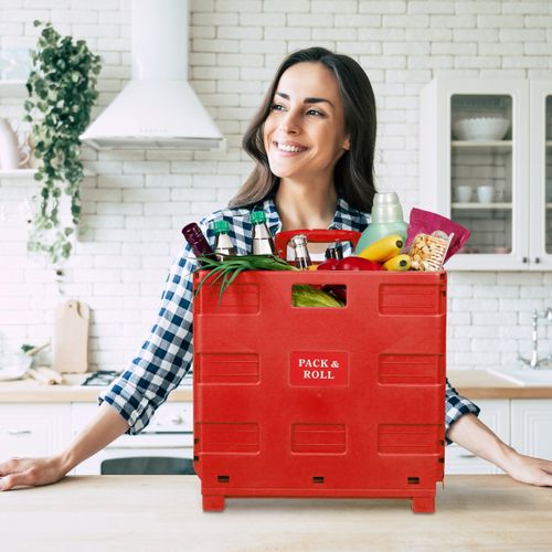 Chariot De Courses Pliable