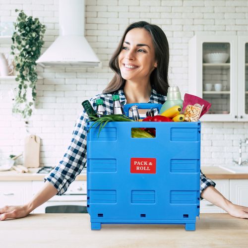 Chariot De Courses Pliable