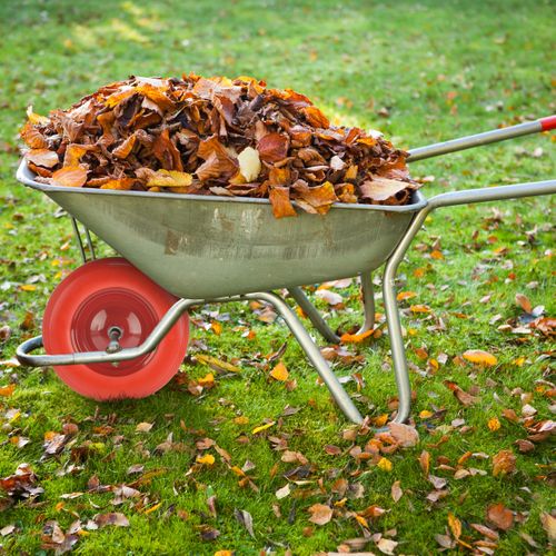 Roue De Brouette Pu 4.80 4.00-8