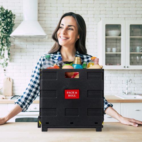 Chariot De Courses Pliable