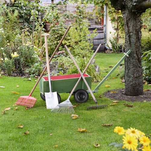 Roue De Brouette 4.00-6