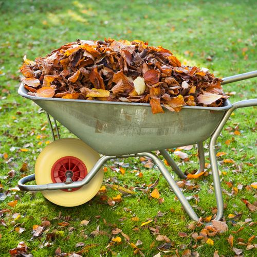 Roue De Brouette Caoutchouc 4.00-6