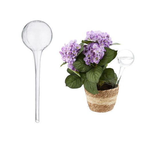 Globe D’arrosage En Lot De 2 Verre