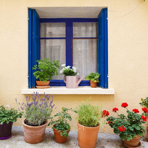 Petit Arrosoir Métal