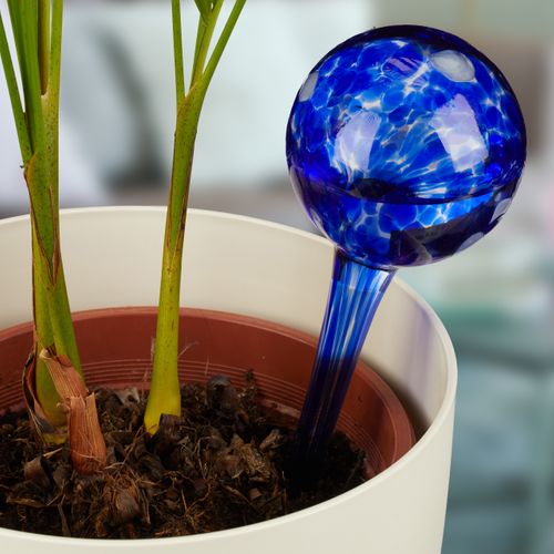 Globe D’arrosage En Lot De 2 Verre