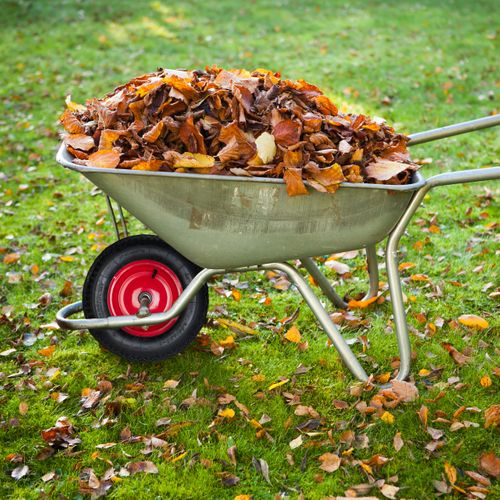 Roue De Brouette Caoutchouc 4.80 4.00-8